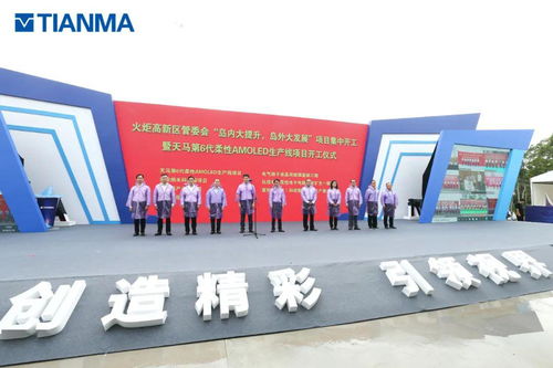 厦门天马显示科技第6代柔性amoled生产线项目全面开工