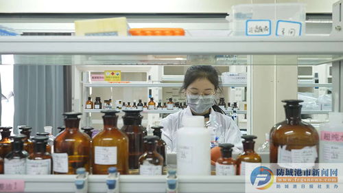 防城港市检验检测中心 打造检验检测技术服务新高地 助推经济社会高质量发展