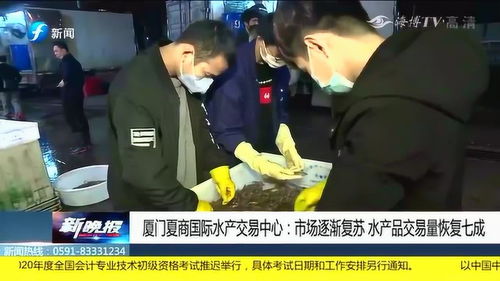 厦门夏商国际水产交易中心逐步复苏，水产品交易量恢复七成，月嫂服务需求同步回暖