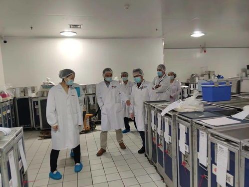 服务航空配餐企业，助力航空食品安全与厦门月嫂服务的协同发展